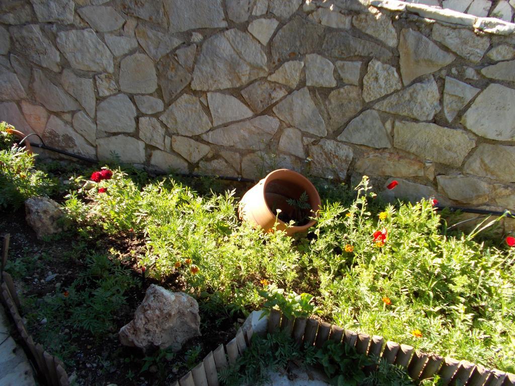 Theasis Suites-Ορεινή Φιλοξενία Kato Sinikia Trikalon Esterno foto