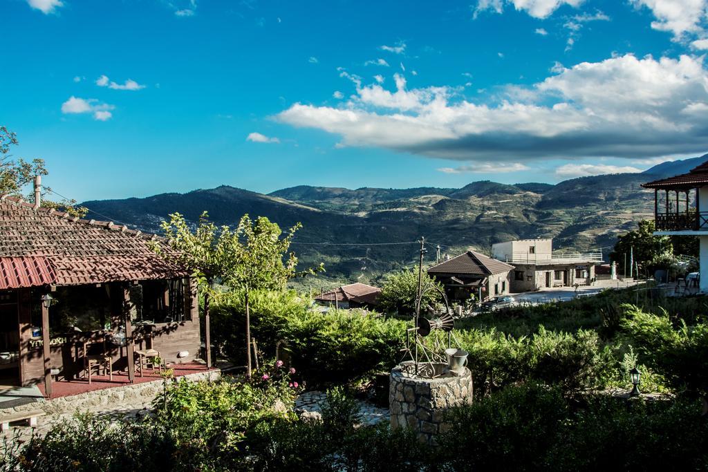 Theasis Suites-Ορεινή Φιλοξενία Kato Sinikia Trikalon Esterno foto