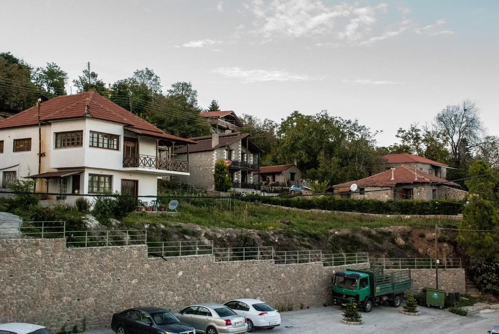 Theasis Suites-Ορεινή Φιλοξενία Kato Sinikia Trikalon Esterno foto